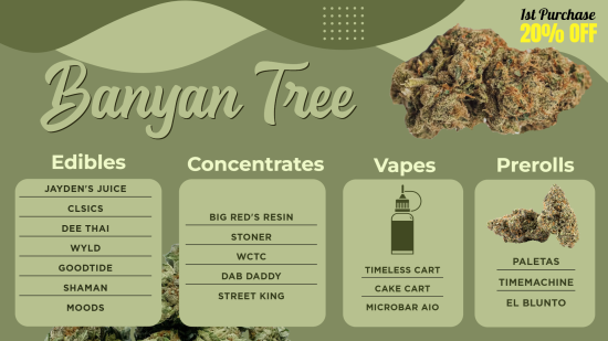 Cannabis Dispensary Digital menu Maker | Cannamako design tool